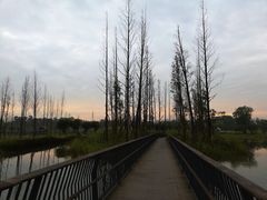 -白鹭湾湿地公园