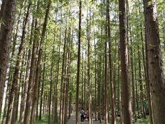 -南京金牛湖风景区