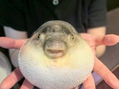 -永安鱼庄·镇江菜(东吴路店)