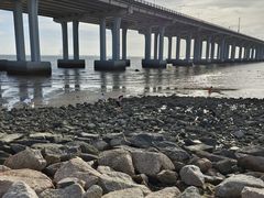 -宝安西湾红树林湿地公园