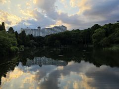 -井之头恩赐公园