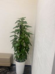 -重庆军科整形美容医院