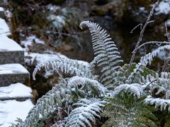 -陕西省红河谷森林公园