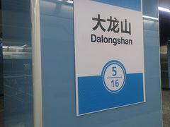 -大龙山(地铁站)