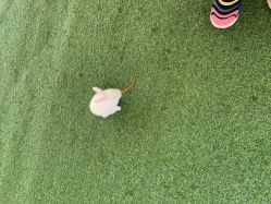 -萌宠亲子动物乐园(槐房万达店)