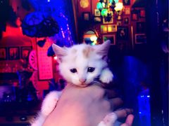 -星宿秘码(鼓浪屿老店)