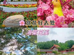 -海棠花溪(元大都城垣遗址公园)