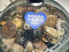 -大锅强·蒸海鲜青岛菜(金沙滩店)