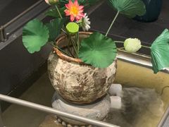 -单家老院·院子里的青岛菜