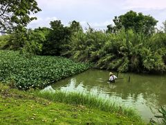 -艾溪湖湿地公园