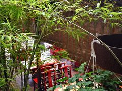 -先机泉水鸡汤(南山老君洞店)