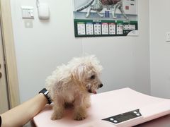 -爱诺耐芙动物医院(万博店)