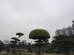 -南宁南湖公园