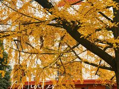 -四川大学(望江校区)