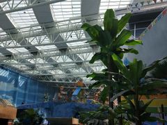 -青岛东方影都融创水世界