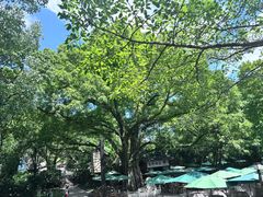 -鹅岭公园瞰胜楼