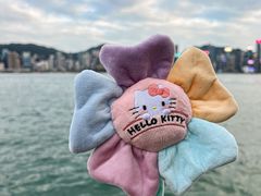 -玩具反斗城(海港城店)