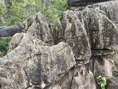 -梭布垭石林景区