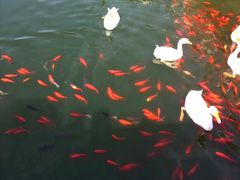 -西安汉城湖景区