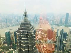 -上海柏悦酒店·世纪100牛排馆