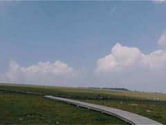 -芦芽山旅游度假区