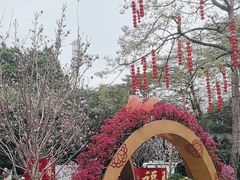-晓港公园