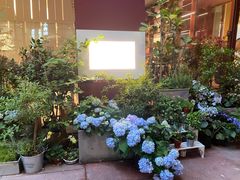 -二酉书店TOYOU BOOKS