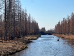 -黄海国家森林公园