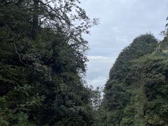 -峨眉山风景名胜区