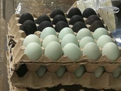 -老字号贾家肉丸糊辣汤(光明巷店)