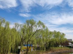 -大兴滨河森林公园