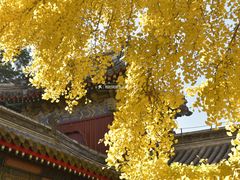 -承恩寺