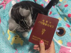 -宠福鑫动物医院·动物疾病诊疗中心(天通苑店)