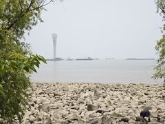 -上海吴淞炮台湾国家湿地公园