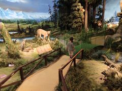 -陕西自然博物馆