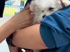 -嘉馨宠物医院·CT影像转诊·心脏科·犬猫全科诊疗中心(下沙大学城院区)