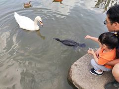 -呀诺达热带雨林