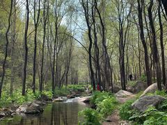 -玉渡山自然风景区