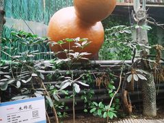-呀路古热带植物园