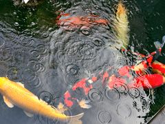 -西安市广仁寺