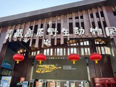 -青藏高原野生动物园
