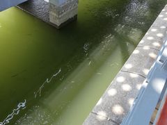 -白塘生态植物园