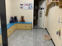 -美联众合爱康动物医院•复杂内科•肿瘤科•牙科•腔镜诊疗中心