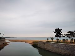 -星光岛