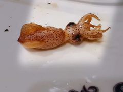 -鱼市酒店(威海水产批发市场店)