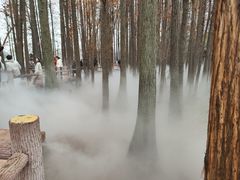 -东湖落雁景区