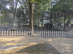 -大连铭湖国际观光牧场