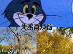 -丰台花园