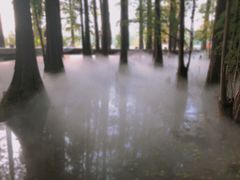 -东湖落雁景区