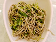 香椿苗拌豆腐丝-博雅渔港·融合菜(维也纳国际大酒店)